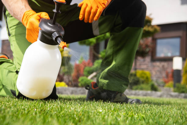 Pest Prevention Services in Bridgewater, VA