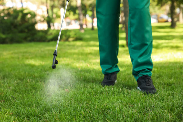Best Pest Control for Homes  in Bridgewater, VA
