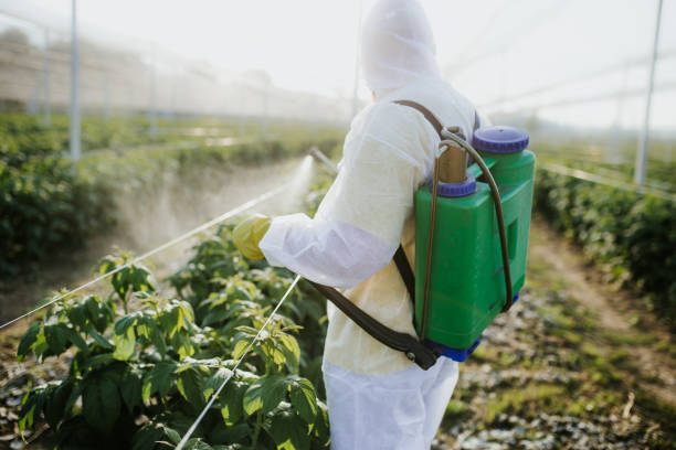 Wildlife Control Services in Bridgewater, VA